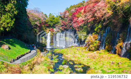 白糸の滝（秋）　[富士宮市] 119536732