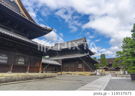 妙心寺 仏殿と法堂(京都市右京区花園) 妙心寺 仏殿と法堂(京都市右京区花園) 119537075