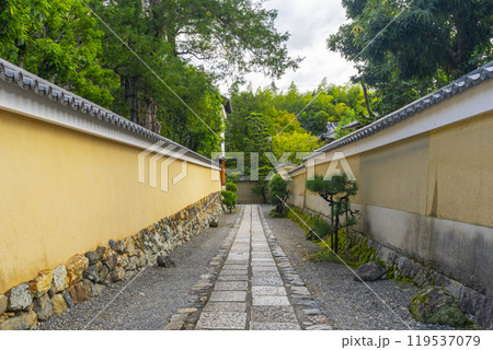 妙心寺境内　風情あふれる石畳の参道（京都市右京区花園） 119537079