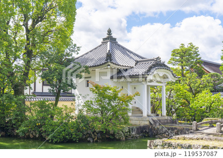 妙心寺　宝蔵と蓮池（京都市右京区花園） 119537087