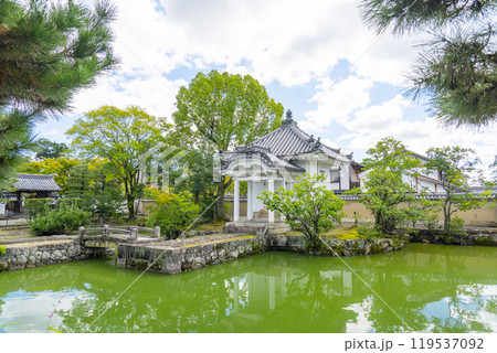 妙心寺　宝蔵と蓮池（京都市右京区花園） 119537092