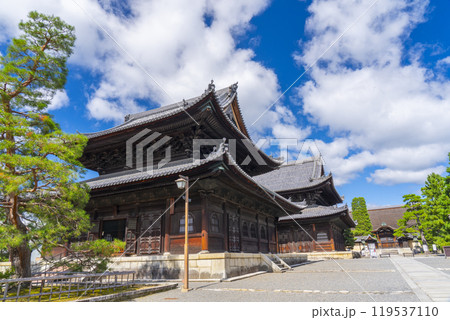 妙心寺　仏殿と法堂（京都市右京区花園） 119537110