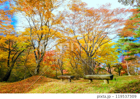 伊香保上ノ山公園の秋 伊香保上ノ山公園の秋 119537309