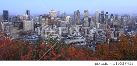 New skyline of Montreal illuminated at dusk in autumn with red leaves in the foreground Quebec, Canada 119537415