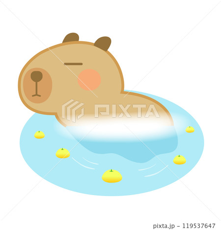 ゆず湯に入るかわいいカピバラのイラスト 119537647