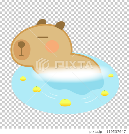 ゆず湯に入るかわいいカピバラのイラスト 119537647