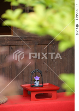 桔梗の切り花のしつらえ 桔梗の切り花のしつらえ 119538027