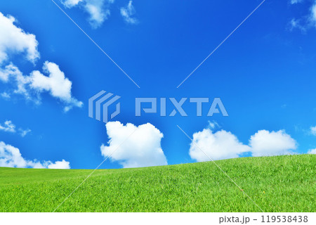 爽やかな夏の青空と新緑の草原風景 爽やかな夏の青空と新緑の草原風景 119538438