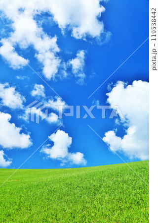 爽やかな夏の青空と新緑の草原風景 119538442