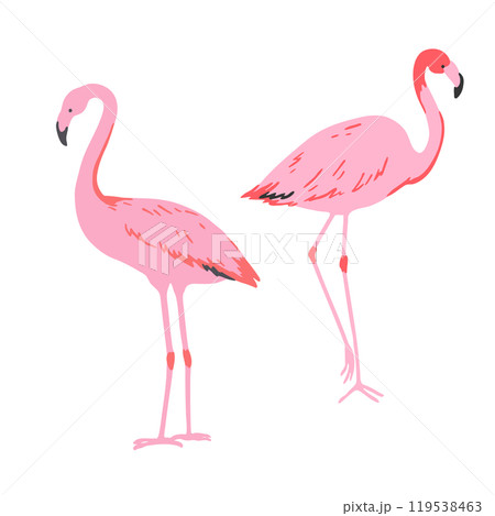 Set of pink flamingo in minimalistic style. Vector illustration. Set of pink flamingo in minimalistic style. Vector illustration. 119538463