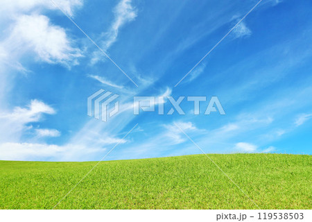 秋の青空と綺麗な草原風景 119538503