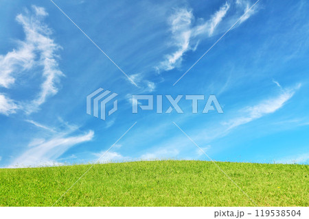 秋の青空と綺麗な草原風景 119538504