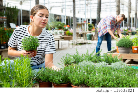 In flower shop, girl customer chooses thymus plant to decorate room, balcony, terrace In flower shop, girl customer chooses thymus plant to decorate room, balcony, terrace 119538821