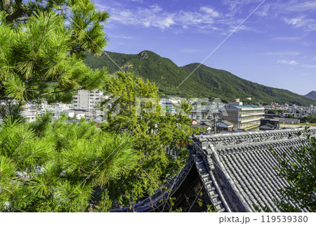 小豆島　西光寺　イチョウ　香川県土庄町 119539380