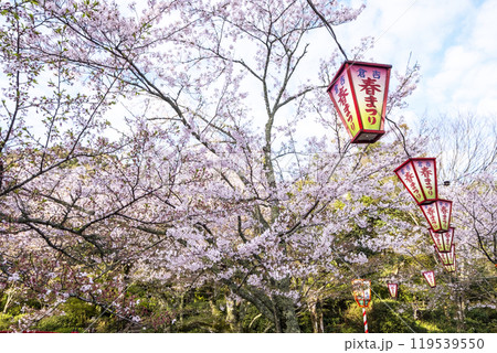 打吹公園の桜景色（倉吉市） 119539550