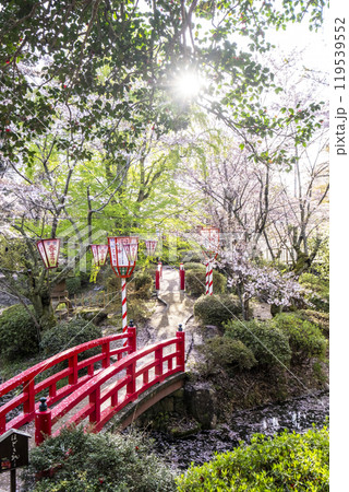 打吹公園の桜景色（倉吉市） 119539552