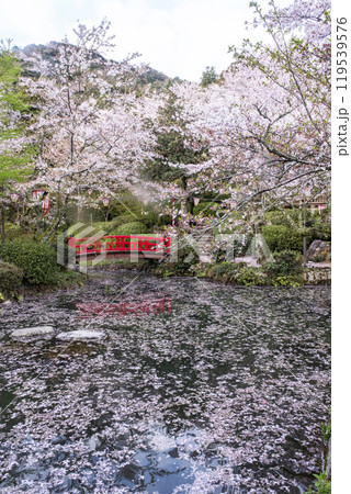 打吹公園の桜景色（倉吉市） 119539576