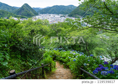 下田港を見渡す下田公園と紫陽花の風景（静岡県） 119539817
