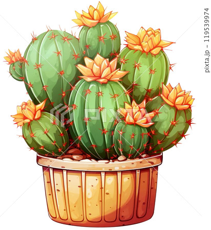 Cactus 119539974