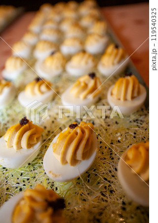 Delicious and Flavorful Deviled Eggs at an Elegant Gourmet Event, Perfect for Any Special Occasion Delicious and Flavorful Deviled Eggs at an Elegant Gourmet Event, Perfect for Any Special Occasion 119540325
