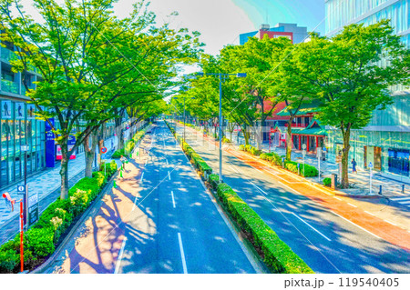 東京・原宿表参道 東京・原宿表参道 119540405