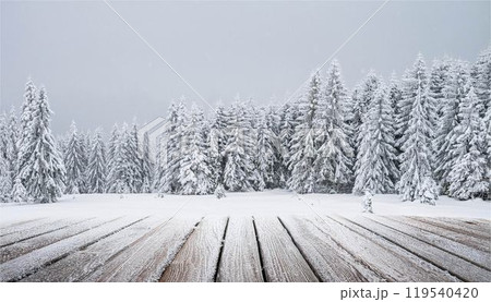 クリスマス　もみの木　冬　雪　景色　風景　フレーム　背景　コピースペース　素材 119540420
