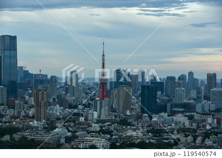 都市風景　高層ビルから眺める東京タワー 119540574