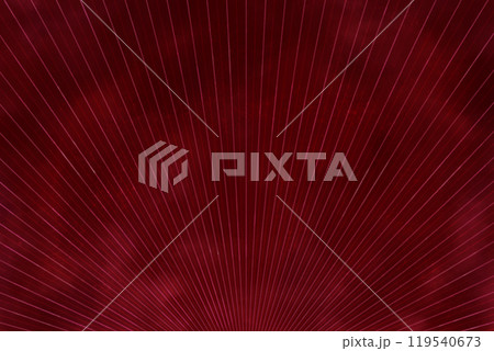 集中線(赤) 集中線(赤) 119540673