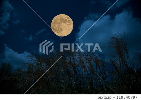 仲秋の名月とすすき 119540797