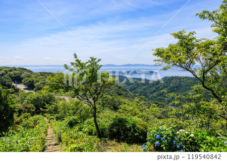 三ヶ根山上に咲く紫陽花　愛知県西尾市 119540842