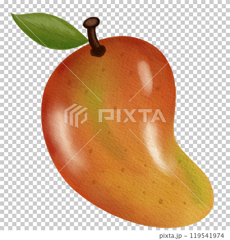 Mango Mango 119541974