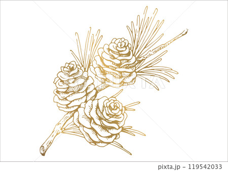 松ぼっくりと枝葉の線画イラスト　秋から冬の植物　金色のベクター素材 119542033
