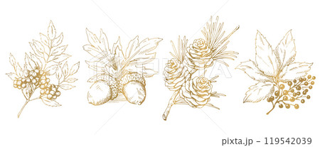 木の実と枝葉の線画イラストのセット　秋から冬の植物　金色のベクター素材 119542039