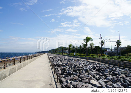 馬堀海岸(まぼちょこ)の散歩道 馬堀海岸(まぼちょこ)の散歩道 119542871