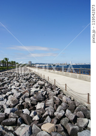 馬堀海岸(まぼちょこ)の散歩道　　　　　　　　　　　　　　　　　　　        　　　　　 119542873