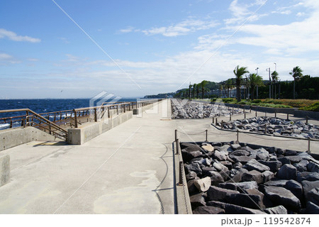 馬堀海岸(まぼちょこ)の散歩道 馬堀海岸(まぼちょこ)の散歩道 119542874