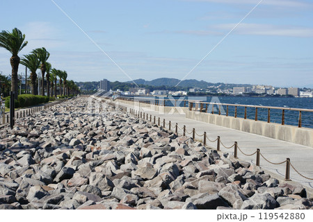 馬堀海岸(まぼちょこ)の散歩道　　　　　　　　　　　　　　　　　　　        　　　　　 119542880