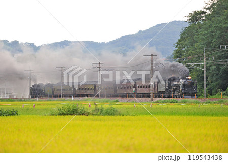 信越本線　安中－群馬八幡　JR東日本　C61-20＋旧客＋D51-498（高崎）　SLレトロ碓氷 119543438