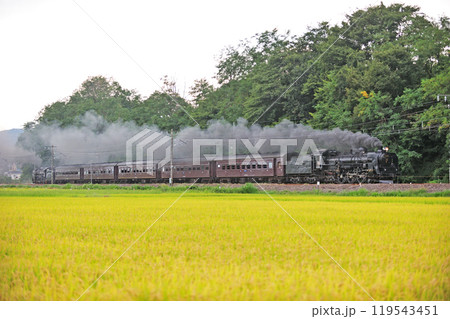 信越本線 安中-群馬八幡 JR東日本 C61-20+旧客+D51-498(高崎) SLレトロ碓氷 信越本線 安中-群馬八幡 JR東日本 C61-20+旧客+D51-498(高崎) SLレトロ碓氷 119543451