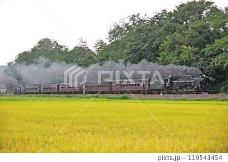 信越本線　安中－群馬八幡　JR東日本　C61-20＋旧客＋D51-498（高崎）　SLレトロ碓氷 119543454