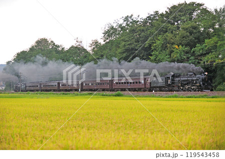 信越本線　安中－群馬八幡　JR東日本　C61-20＋旧客＋D51-498（高崎）　SLレトロ碓氷 119543458