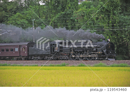 信越本線　安中－群馬八幡　JR東日本　C61-20＋旧客＋D51-498（高崎）　SLレトロ碓氷 119543460