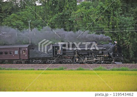 信越本線　安中－群馬八幡　JR東日本　C61-20＋旧客＋D51-498（高崎）　SLレトロ碓氷 119543462