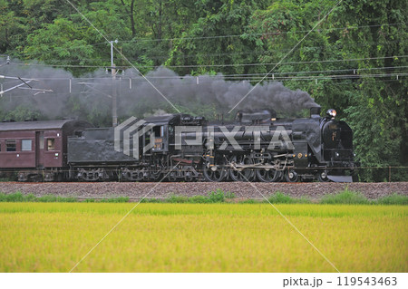 信越本線　安中－群馬八幡　JR東日本　C61-20＋旧客＋D51-498（高崎）　SLレトロ碓氷 119543463