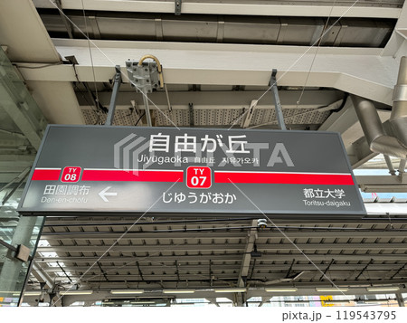 自由が丘駅 自由が丘駅 119543795