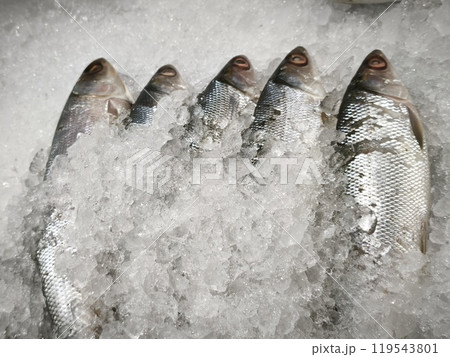 Fresh fish on ice displayed at the supermarket. Fresh fish on ice displayed at the supermarket. 119543801