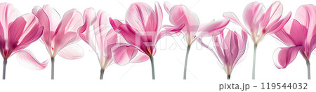 パステルで描かれた美しいシクラメンの花 119544032