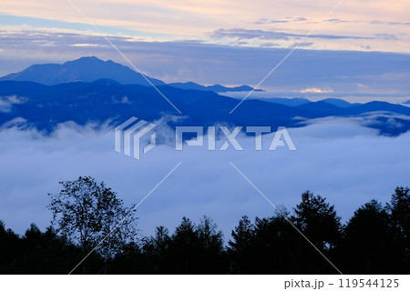 雲海の山並み　木　雲　山並み　空の4層構成　ポイントの木を左側に 119544125