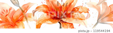 オレンジ色が美しいオニユリの花 119544194