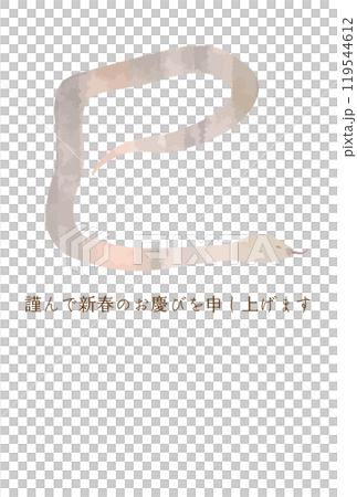 2025 年新年賀卡與蛇剪影 119544612